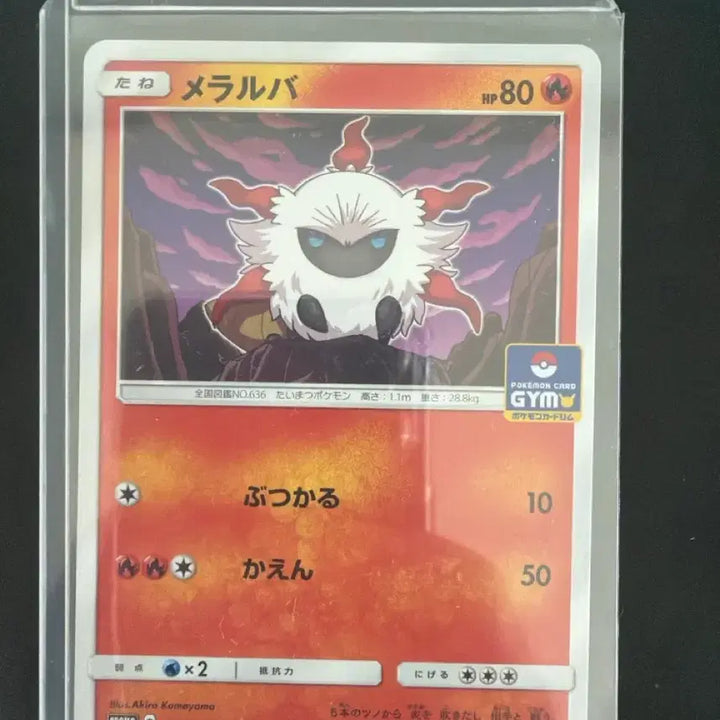 [BUNJANG] Pokemon Card Japanese Charizard Gym Promo / 포켓몬카드 일본판 활화르바 짐프로모 (gym promo)