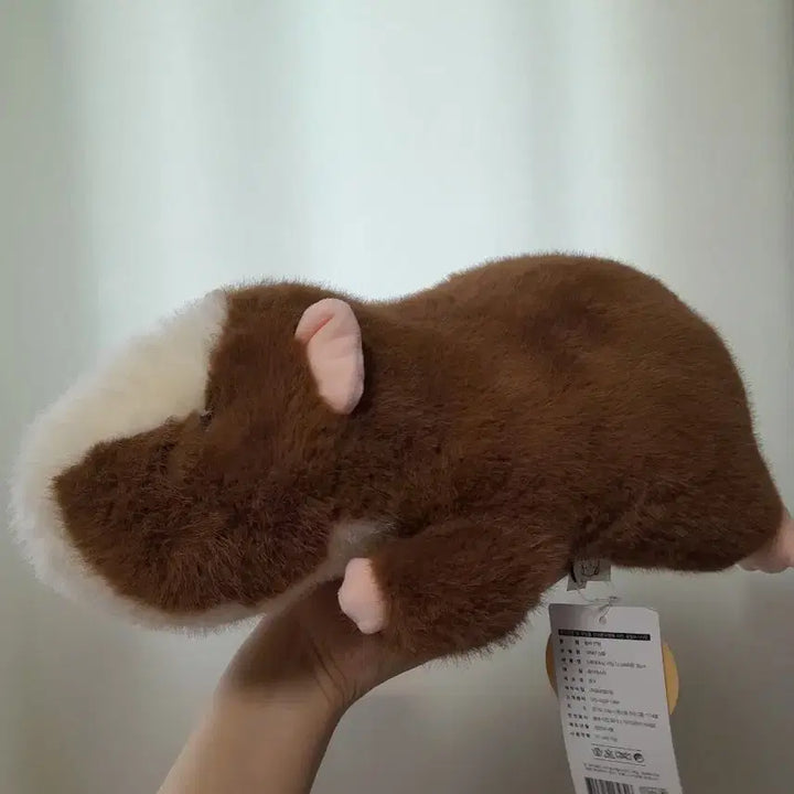 [BUNJANG] Morumotto Guinea Pig Lying Plush 35cm / 모루못토상 기니피그 라잉 인형 35센치