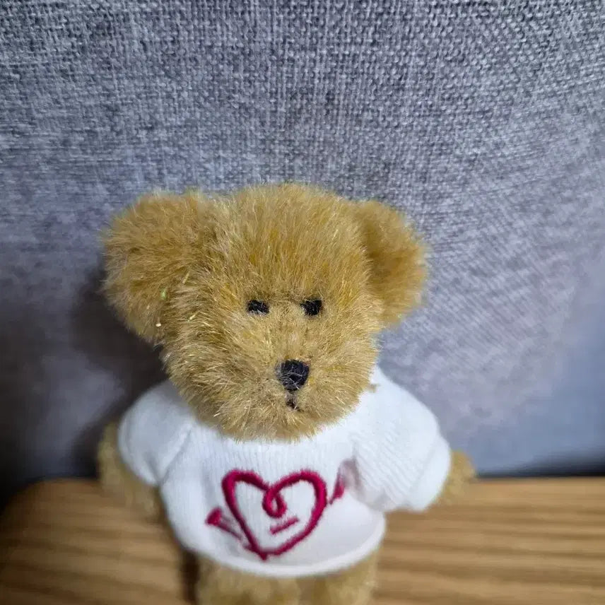 [BUNJANG] Boys Bear Mini Brown Sparkle Plush Doll / 보이즈베어미니 갈색 반짝이
