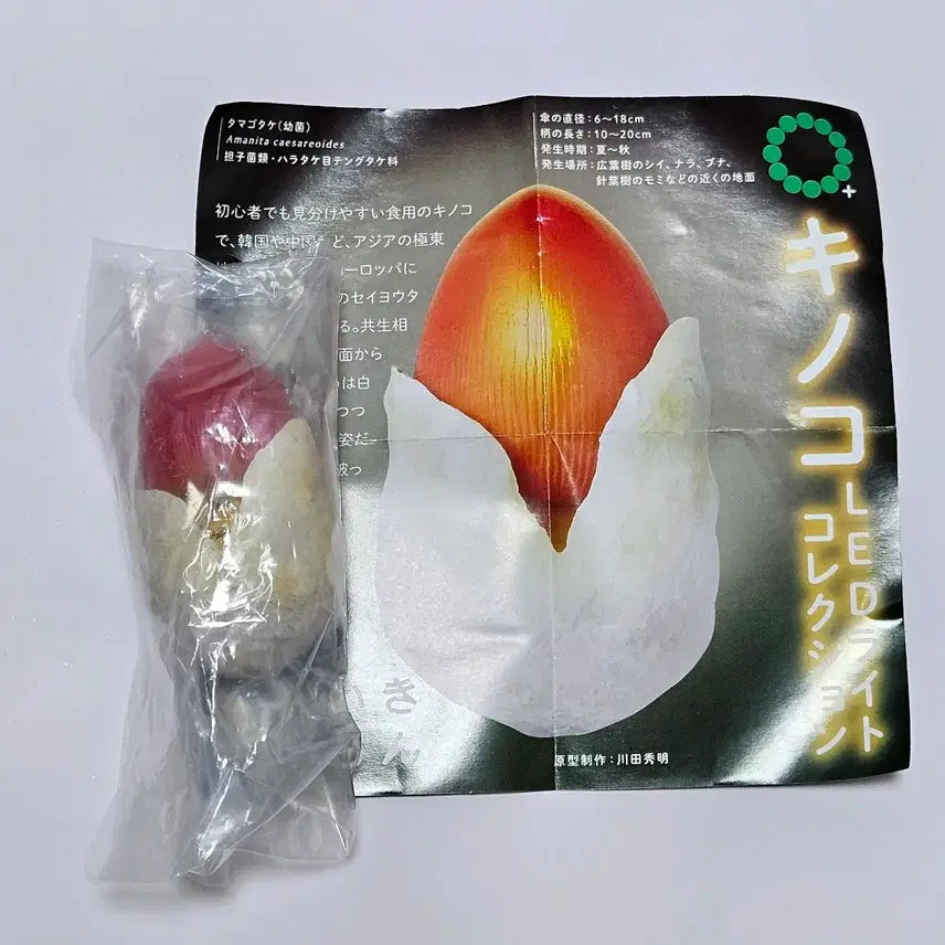 [BUNJANG] Mushroom Mood Lamp Keyring Gacha / [미개봉] 버섯 무드등 키링 가챠 독버섯 마그넷 가챠