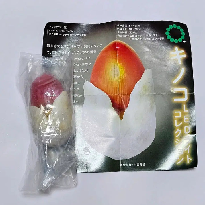 [BUNJANG] Mushroom Mood Lamp Keyring Gacha / [미개봉] 버섯 무드등 키링 가챠 독버섯 마그넷 가챠