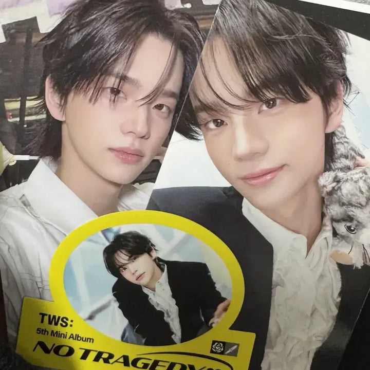 [BUNJANG] TWS NO TRAGEDY Weverse Special Benefit + Album Photocard Set / 투어스 no tragedy 위버스 신유 특전 + 앨범포카 판매