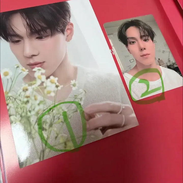 [BUNJANG] MONSTA X Shownu Lucky Draw Photocard Bundle Set / 셔누 러브미 특전 2장 일괄가격