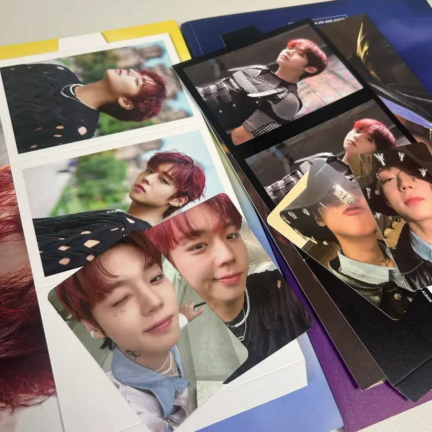 [SOLD OUT] 박지훈 미니 6집 the answer 앨범 풀구성 판매