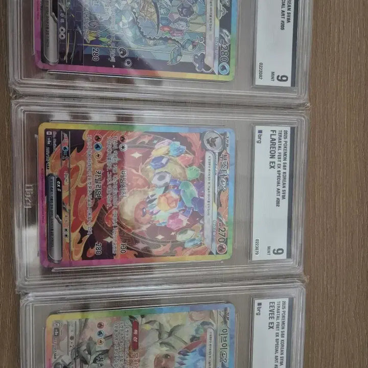 [BUNJANG] Pokemon Card Eevee Set Graded 9 Mint Condition / 포켓몬카드 9등급 이브이세트