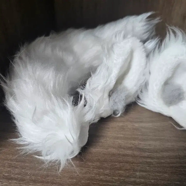 [BUNJANG] 20cm Mohair Doll / 20cm 솜깅 판매합니다