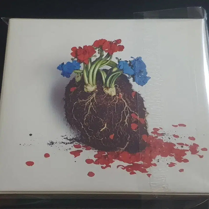 [BUNJANG] Hoshino Gen POP VIRUS Limited Edition CD+DVD / 호시노겐 5집 앨범 POP VIRUS (CD+DVD) 한정반