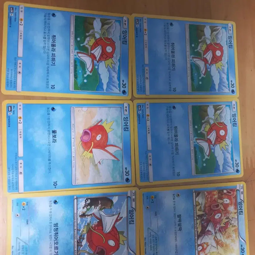[BUNJANG] Gyarados Pokemon Card Set / 잉어킹 포켓몬카드 모음