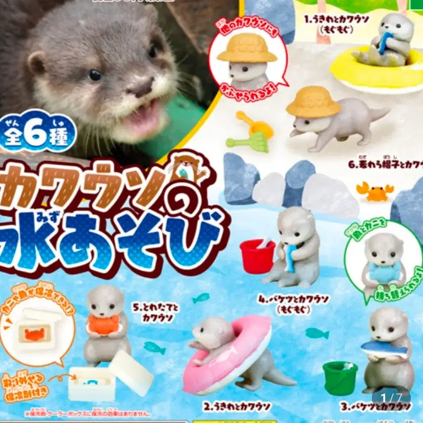 [BUNJANG] Otter&