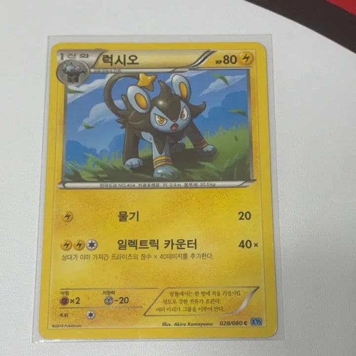 [BUNJANG] Pokemon Card Luxio XY2 028/080 / 포켓몬카드 럭시오 XY2 028/080
