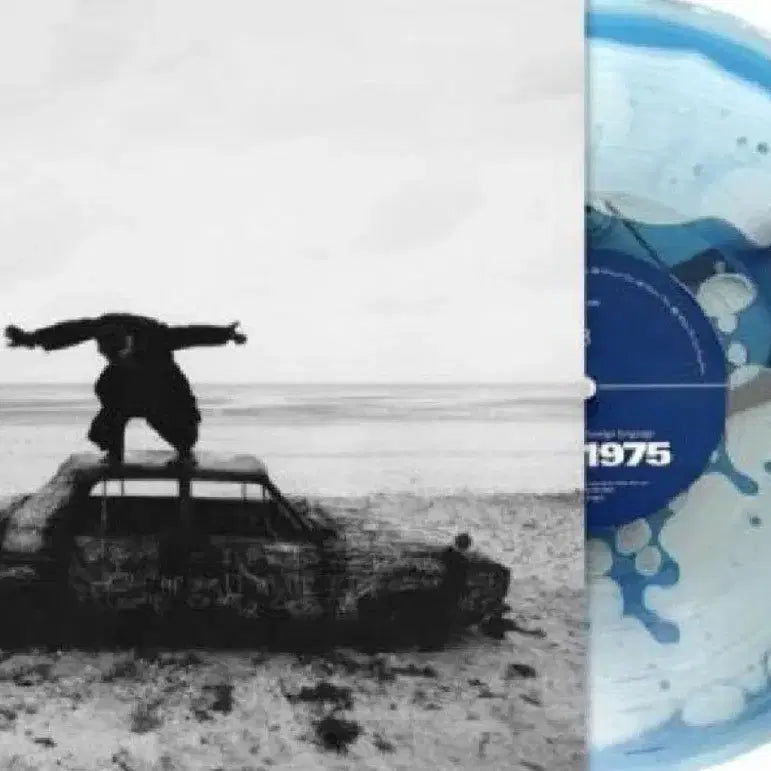 [BUNJANG] The 1975 Limited Edition LP / The1975한정반lp