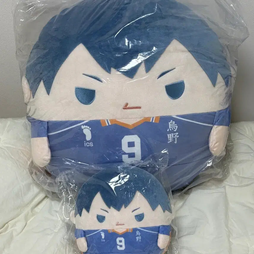 [BUNJANG] Haikyu!! Fuwa Kuji Kageyama Tobio A Prize C Prize / 하이큐 후와 쿠지 메가 카게야마 토비오 a상 c상 미개봉