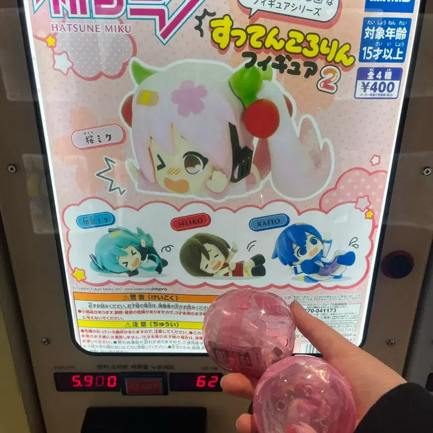 [BUNJANG] Sakura Miku &amp; Meiko Gacha Figure Set / 가챠 사쿠라미쿠와 메이코 팔아요