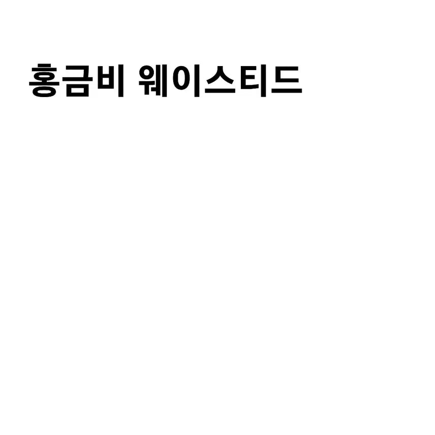 [BUNJANG] Hong Geum-bi Wasted Vest / 홍금비 웨이스티드 폴라 판매 양도