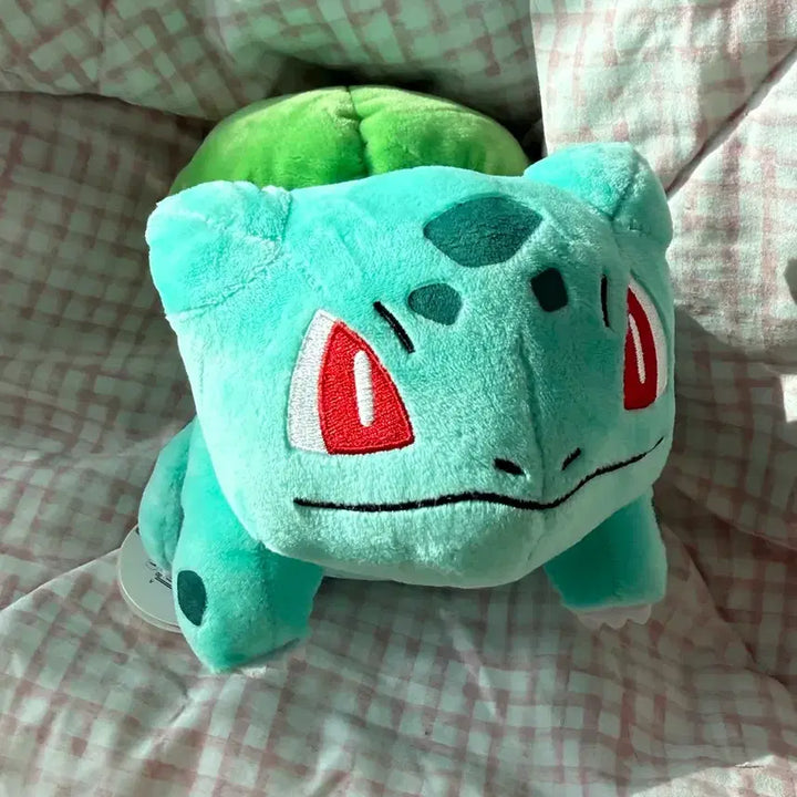 [BUNJANG] Pokemon Bulbasaur Plush / 포켓몬스터 이상해씨 인형