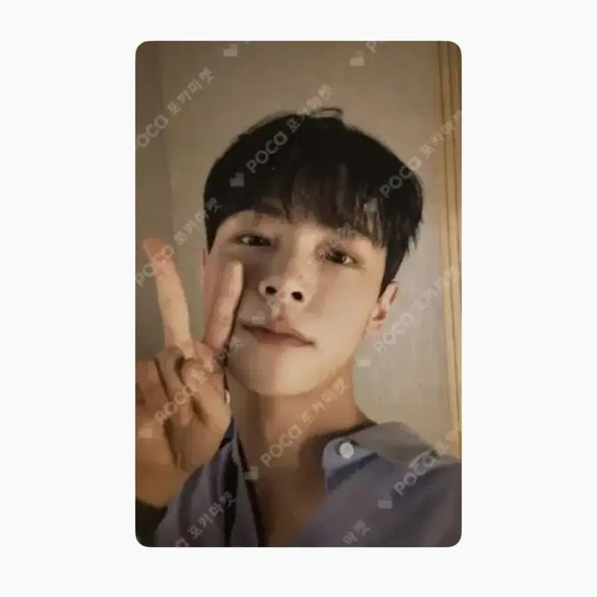 [BUNJANG] Lucy Choi Sangyeop Shin Yeychan Flower Encore Tokyo Photocard / 루시 최상엽 신예찬 플라워앙콘 도쿄 포토카드