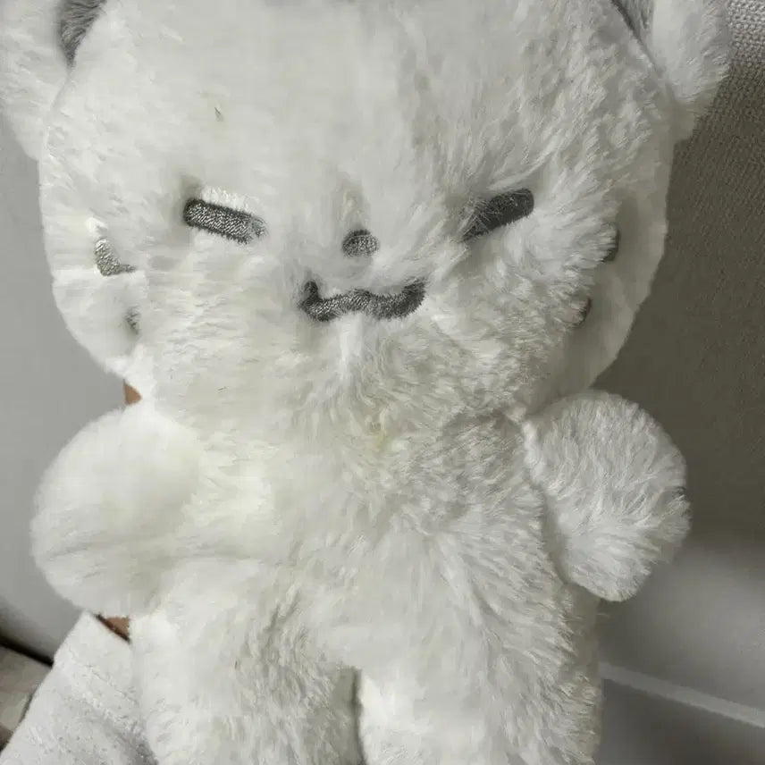 [BUNJANG] SEVENTEEN Hoshi Hoshi Doll 25cm / 호시 인형 호찌