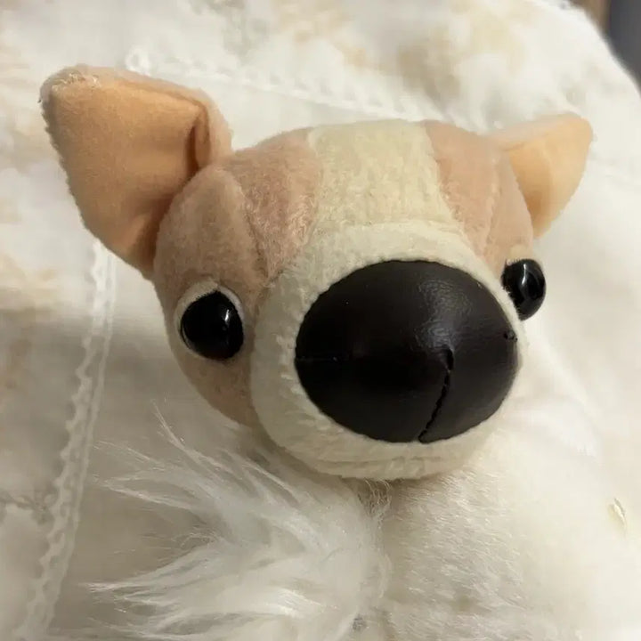 [BUNJANG] The Dog "Chihuahua" Vintage Japanese Plush / the dog 더독 치와와 일본 빈티지 강아지 인형