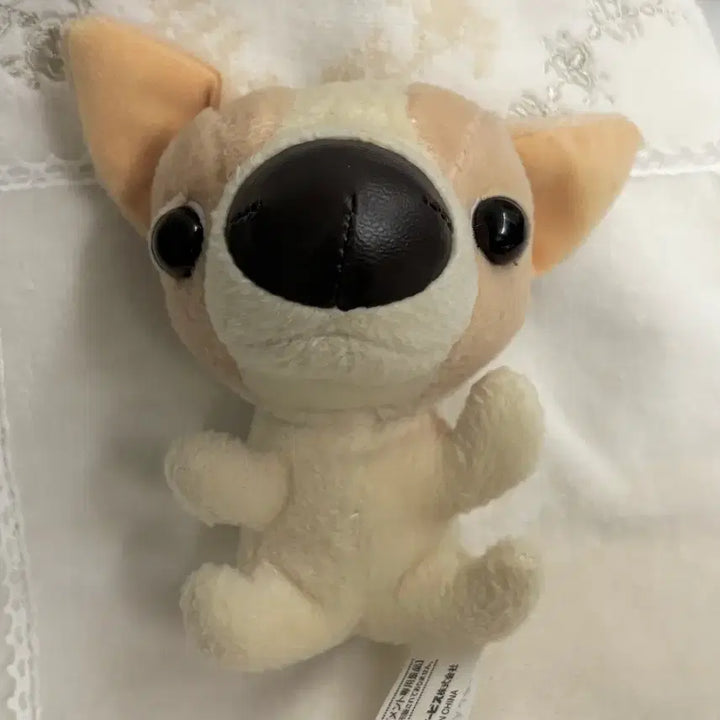 [BUNJANG] The Dog "Chihuahua" Vintage Japanese Plush / the dog 더독 치와와 일본 빈티지 강아지 인형