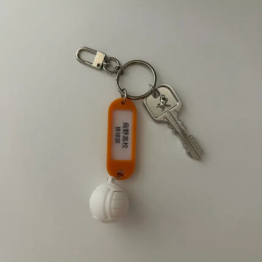 [BUNJANG] Haikyuu!! Karasuno High School Volleyball Club Room Keychain / 하이큐 카라스노 배구부 부실키링