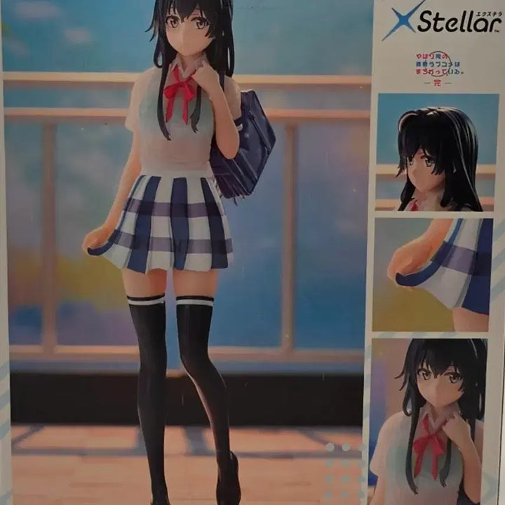 [BUNJANG] Sega Yukinoshita Yukino &