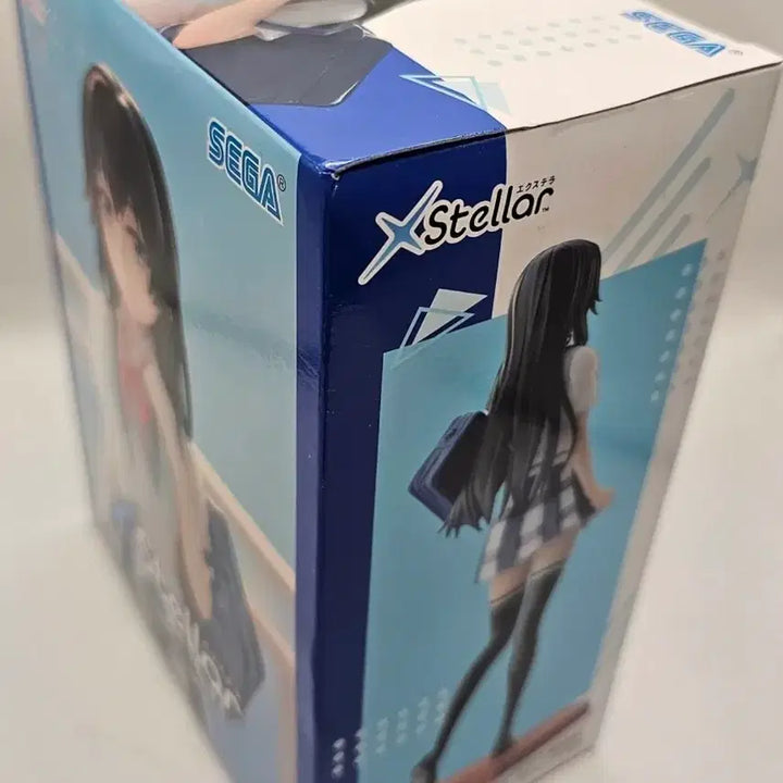 [BUNJANG] Sega Yukinoshita Yukino &