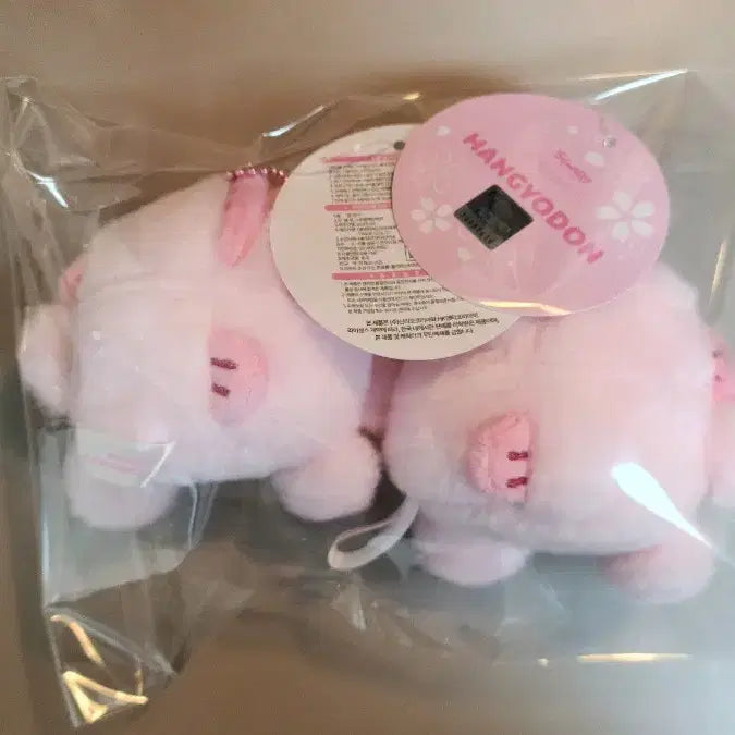 [BUNJANG] Sanrio Hangyodon Cherry Blossom Keyring - Authentic, New / 정품 산리오 벚꽃 한교동 키링 새상품