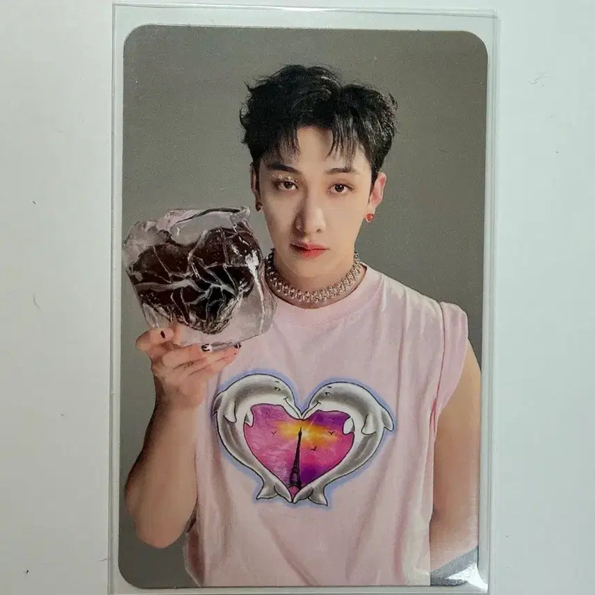 [BUNJANG] Stray Kids MAXIDENT Bang Chan Case / 스트레이키즈 맥시던트 케이스 방찬