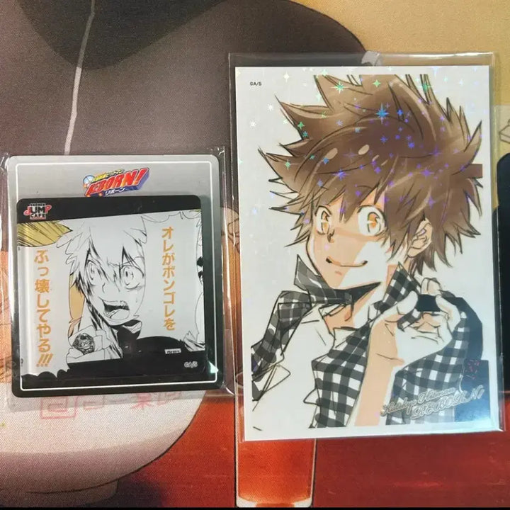 [BUNJANG] Katekyo Hitman Reborn! Tsuna Acrylic Magnet &amp; Original Drawing Postcard Set / 가히리 츠나 아크릴 마그넷 원화 엽서 가정교사히트맨리본