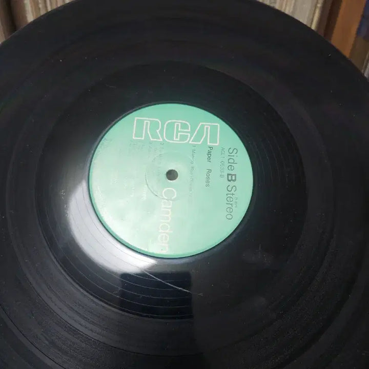 [BUNJANG] Paper Roses LP / Paper Roses LP
