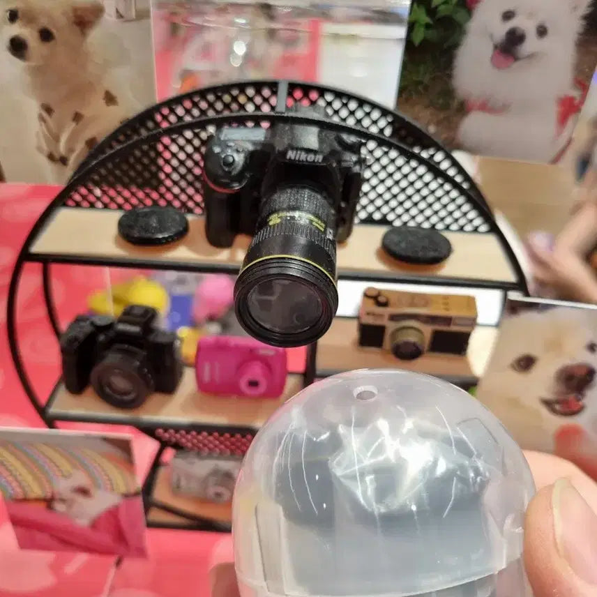 [BUNJANG] Nikon Miniature Camera Collection 2 Gacha Set / 카메라 가챠 (구치파치 짱구 산리오 키티 마치보케)