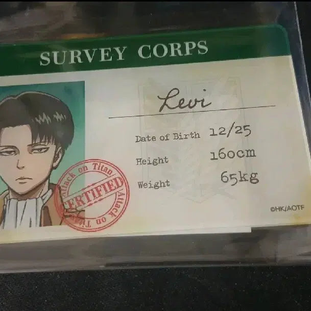 [BUNJANG] Attack on Titan Levi Survey Corps Badge / 진격의거인 리바이 병단증
