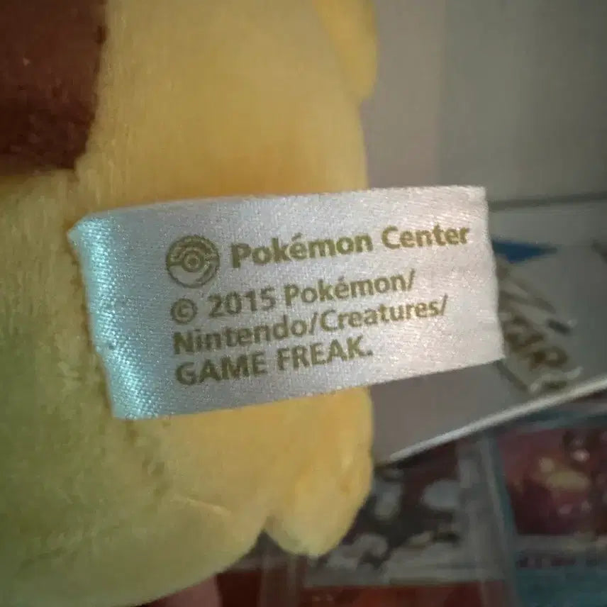 [BUNJANG] Mega Charizard X Poncho Chu Plush Doll / 메가리자몽 판쵸 츄 인형