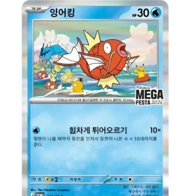 [BUNJANG] Pokemon Magikarp Promo Card 2-Piece Set / 포켓몬카드 잉어킹 프로모카드 2장