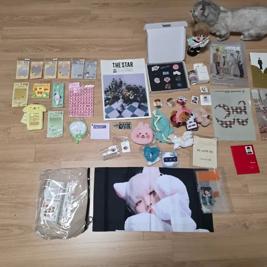 [BUNJANG] The Boyz x Sanrio Collaboration Goods / 더보이즈  &amp; 산리오 굿즈