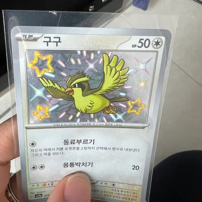 [BUNJANG] Pidgey Error Card - Holo / 포캣몬카드 구구 에러카드s급 싸게판매