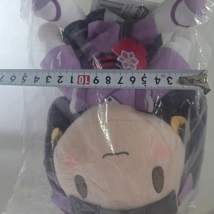 [BUNJANG] Maebashi Witchs Niisato Azu Plush Doll FuwaPuci / 마에바시 위치스 니이사토 아즈 인형 누이구루미 후와푸치