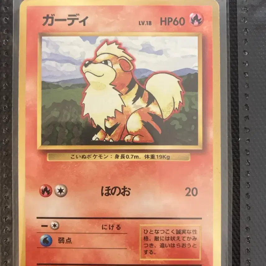 [BUNJANG] Pokemon Card Japanese First Edition Old Back Vulpix / 포켓몬카드 일판 초판 올드백 가디