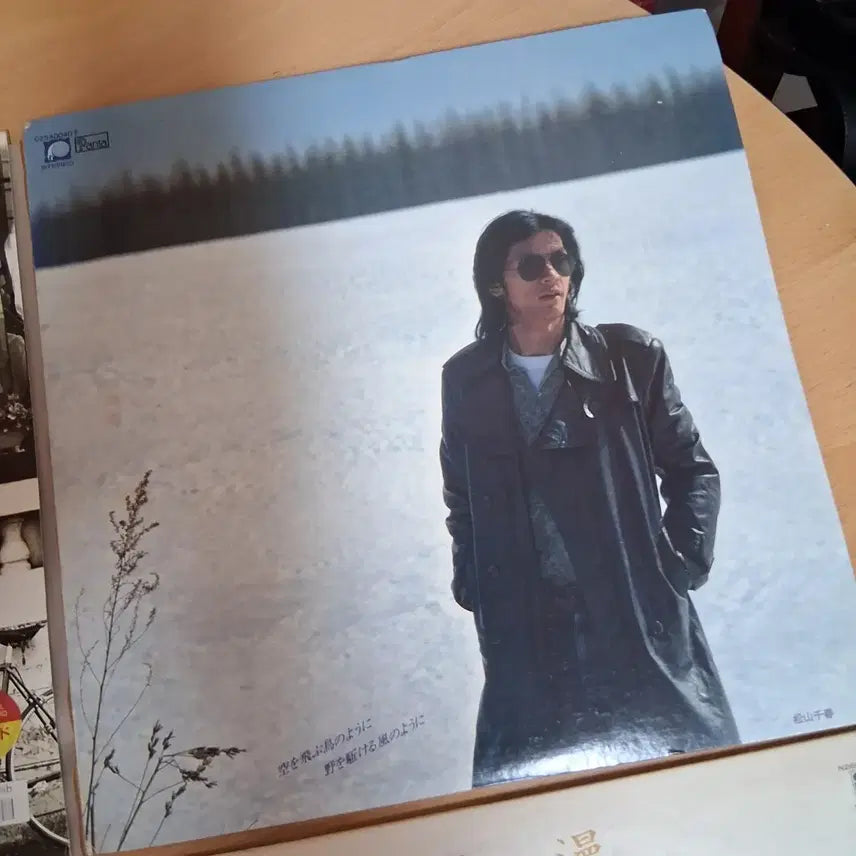 [BUNJANG] City Pop LP Bundle Set / 8장 일괄 민트급 유명 시티팝 LP 일괄 할인