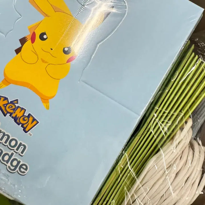 [BUNJANG] Pokemon 30th Anniversary Badge 10-Piece Full Set / 이삭토스트 포캣몬스터 30주년 뱃지 10개 풀셋