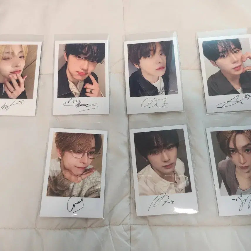 [BUNJANG] Bring Green Serum Photocard / 알파드라이브원 알디원 리오 씬롱 상현 브링그린 포카