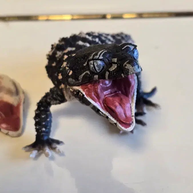 [BUNJANG] SO-TA Rough-snouted Lizard &amp; Armadillo Lizard Vol. 2 Gacha Figure - Black Rough-snouted Lizard / SO-TA 러프납테일&amp;아르마딜로 도마뱀2탄 가챠  블랙러프납테일