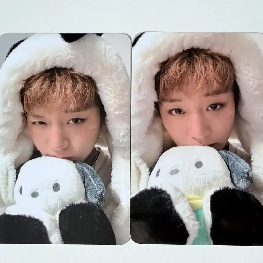 [BUNJANG] Park Jihoon Bitrode Pochacco POB / 박지훈 비트로드 포챠코 미공포