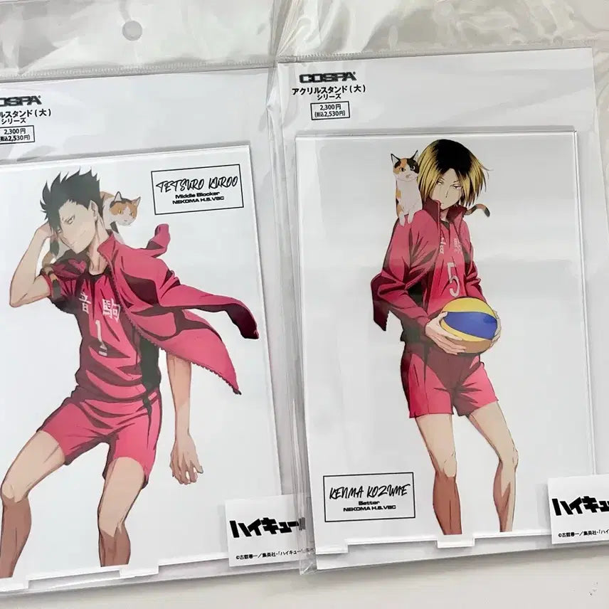 [BUNJANG] Haikyuu!! Big Acrylic Standee Set (Kuroo &amp; Kenma) / 하이큐 빅 아크릴 스탠드 쿠로오 켄마 일괄