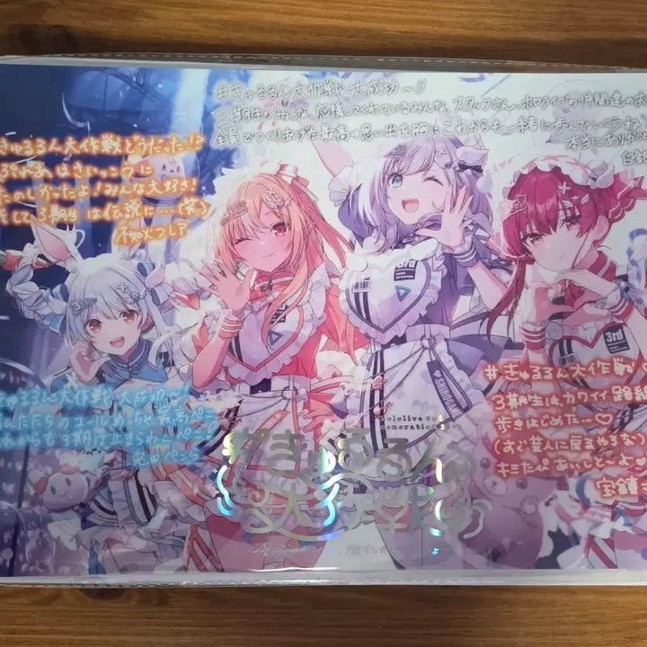 [BUNJANG] Hololive 3rd Generation Live Acrylic Panel / 홀로라이브 3기생 라이브 아크릴 패널