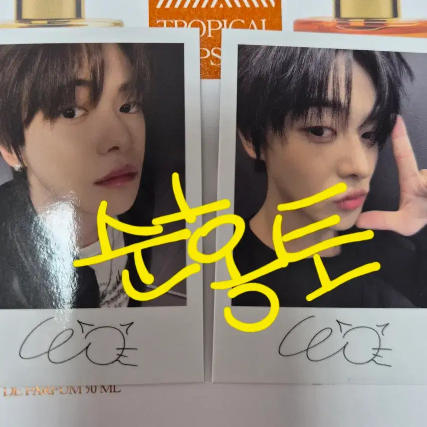 [BUNJANG] Bring Green Rio Photocard Set / 브링그린 이리오 2개 세트 포카 리오 포토카드 알디원 ald1