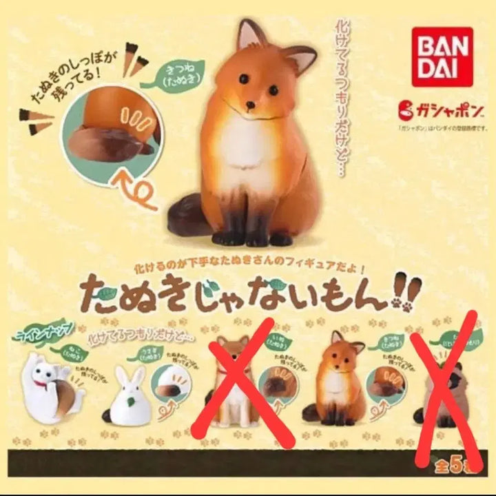 [BUNJANG] Transforming Tanuki Gacha Set / 너구리가 아니란 말이야 변신 너구리 가챠 3종 일괄