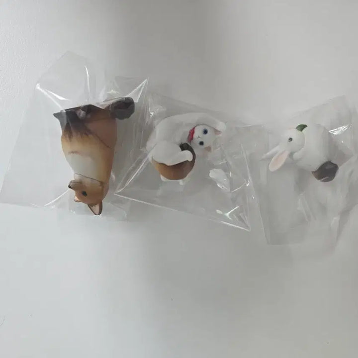 [BUNJANG] Transforming Tanuki Gacha Set / 너구리가 아니란 말이야 변신 너구리 가챠 3종 일괄