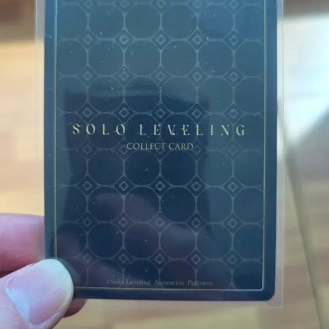 [BUNJANG] Solo Leveling Vol. 1 Character Card Set - Sung Jinwoo &amp; Yoo Jinho / 나혼자만 레벨업 1탄카드  성진우 유진호 1성 판매합니다!!
