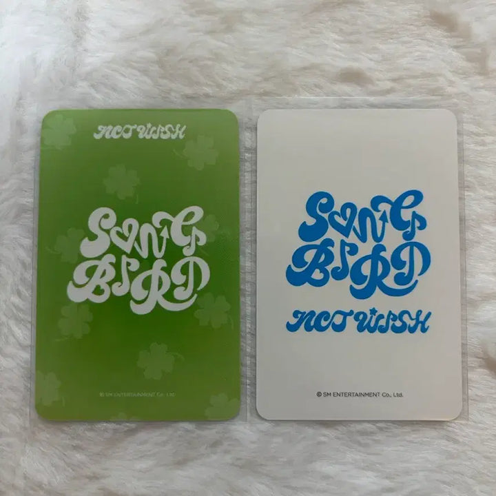[BUNJANG] NCT WISH Sakuya Songbird Photocard Set (Witchmu, Ktown4u) / nct wish 엔시티 위시 송버드 songbird 사쿠야 위드뮤 케타포